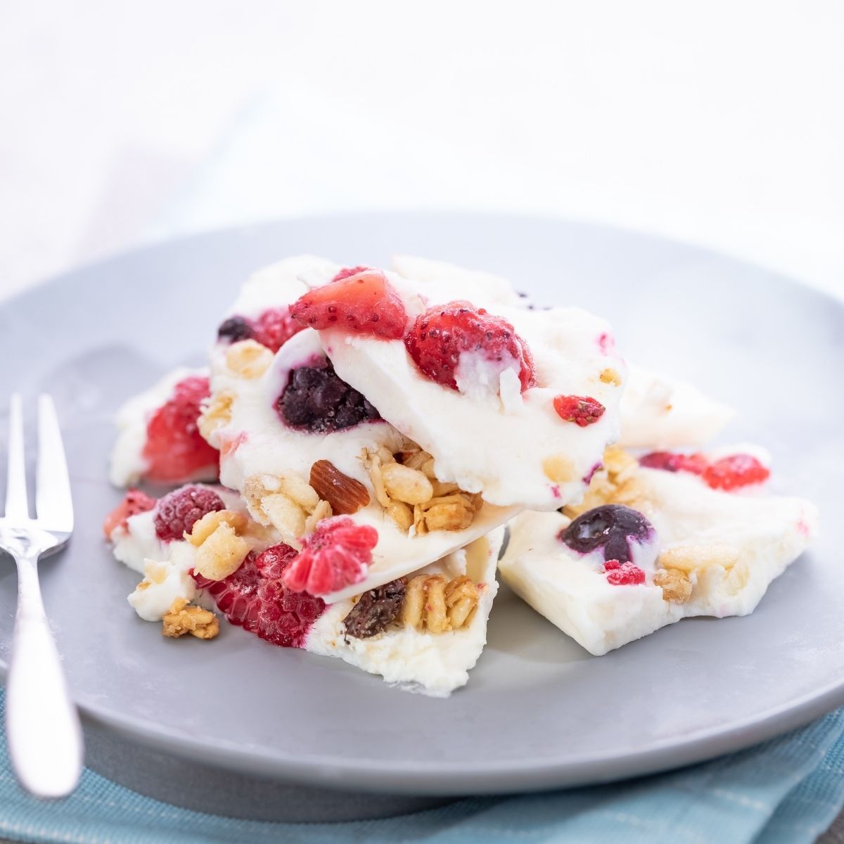 Frozen Yogurt Bark - Urban Meadow® Recipe |  |