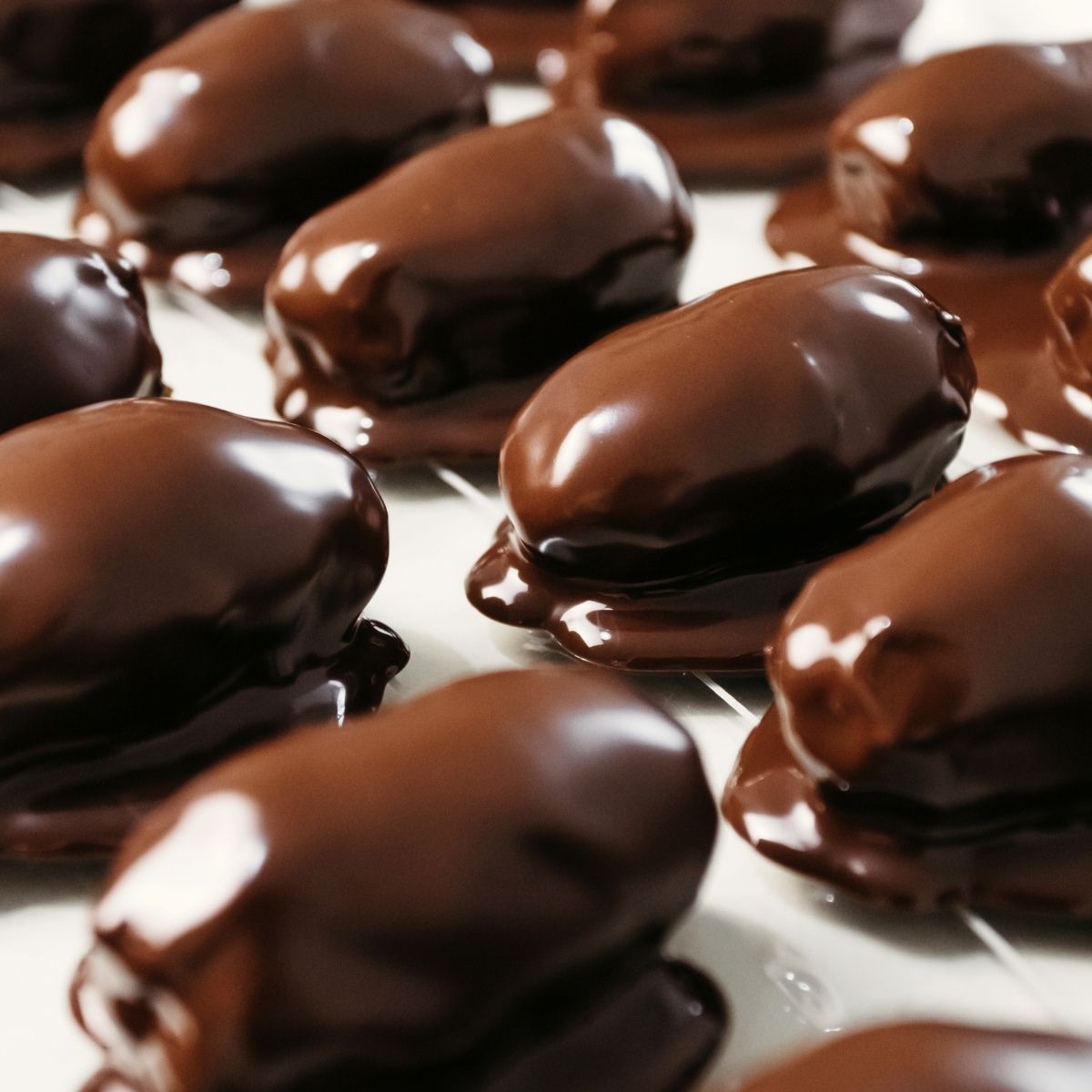 Healthy Candy Bars - Urban Meadow® Recipe |  |