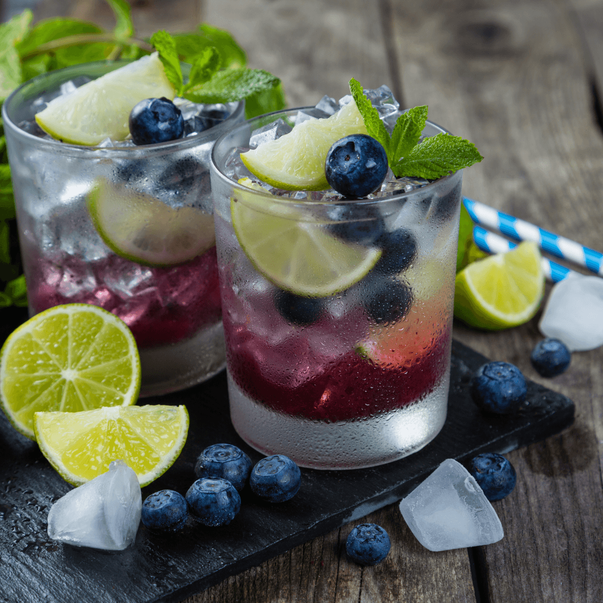 Blueberry Mojito Mocktail - Urban Meadow Recipe |  |