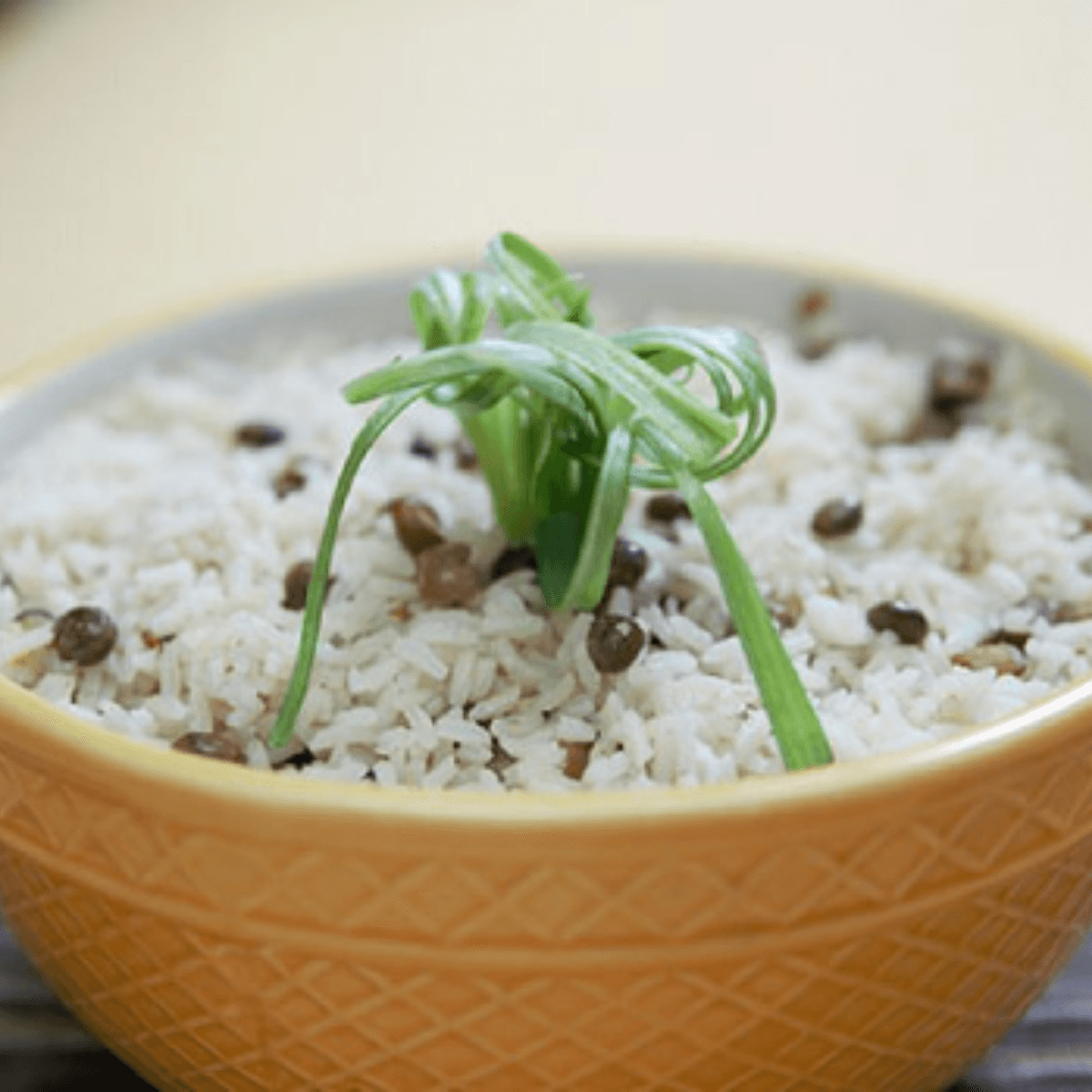 Gungo Peas and Rice - Grace Kennedy Foods Recipe |  |
