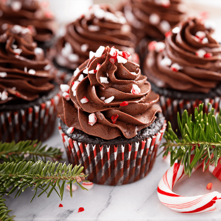 Chocolate Peppermint Cupcakes – Urban Meadow
