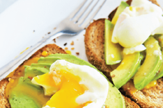 Avocado Egg Toast